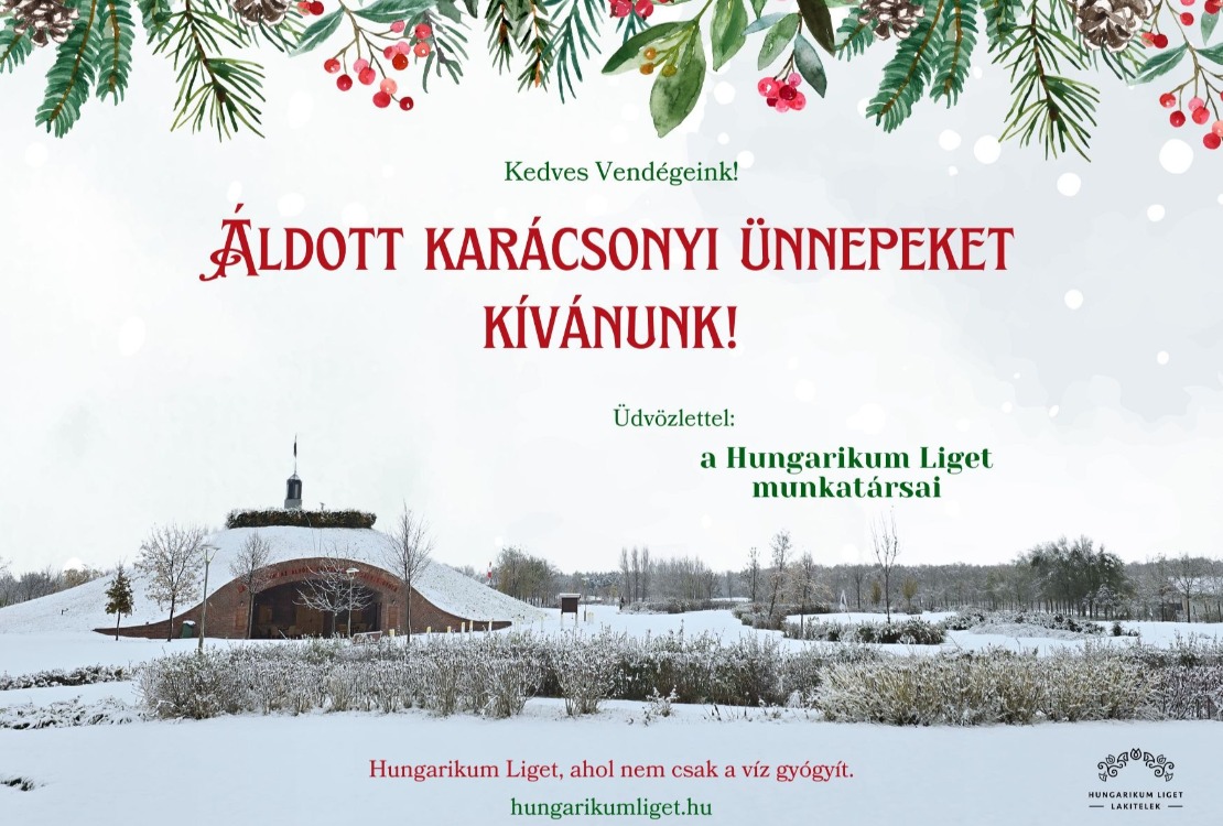 Áldott karácsonyi ünnepeket kívánunk!