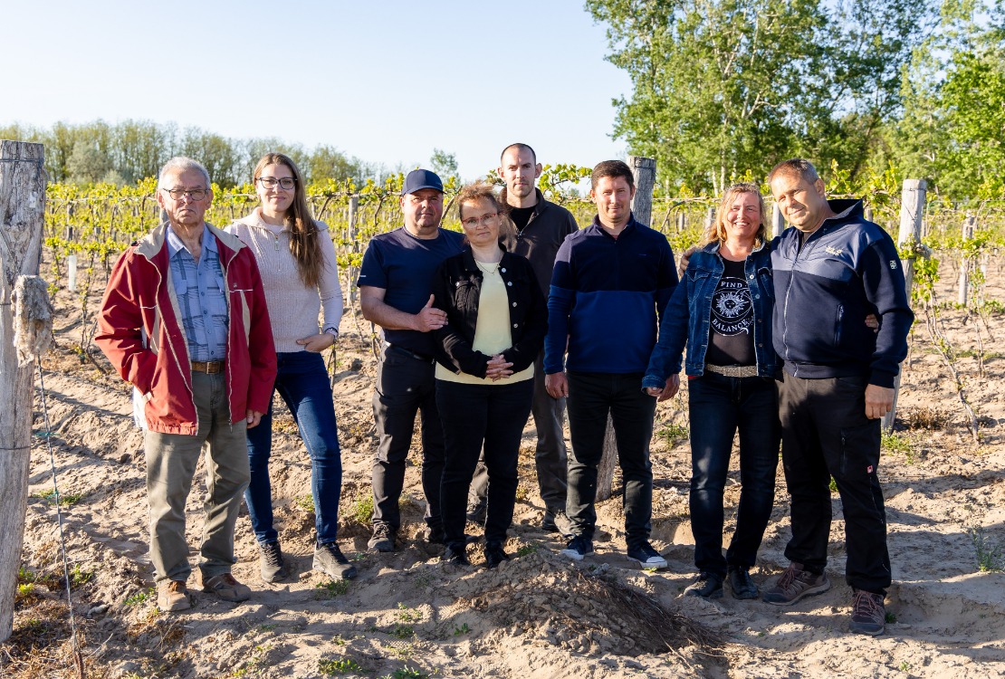 Szőlőjövés 2026-ban