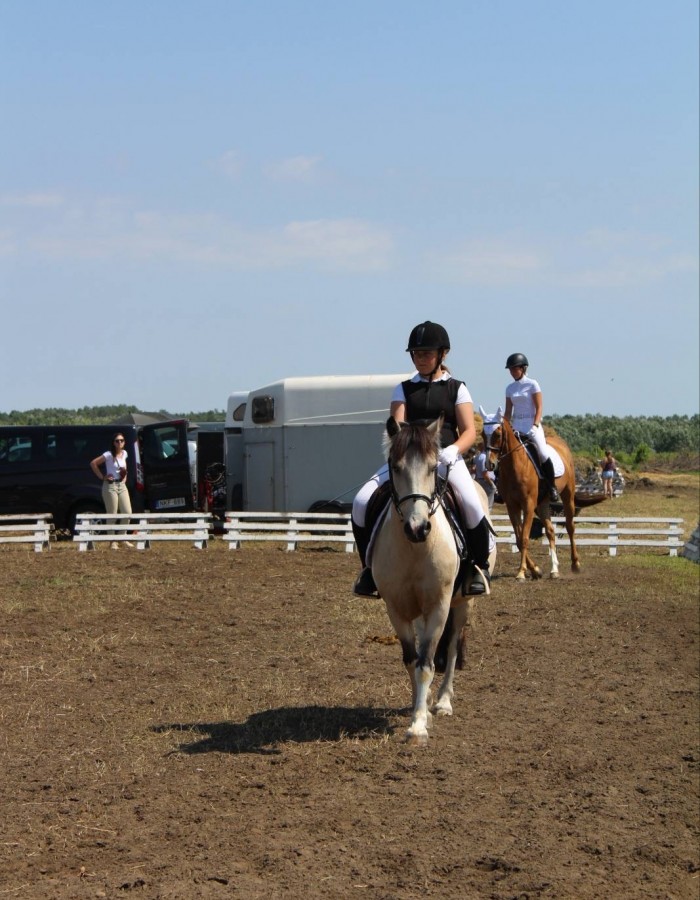 image_6487327 (4)