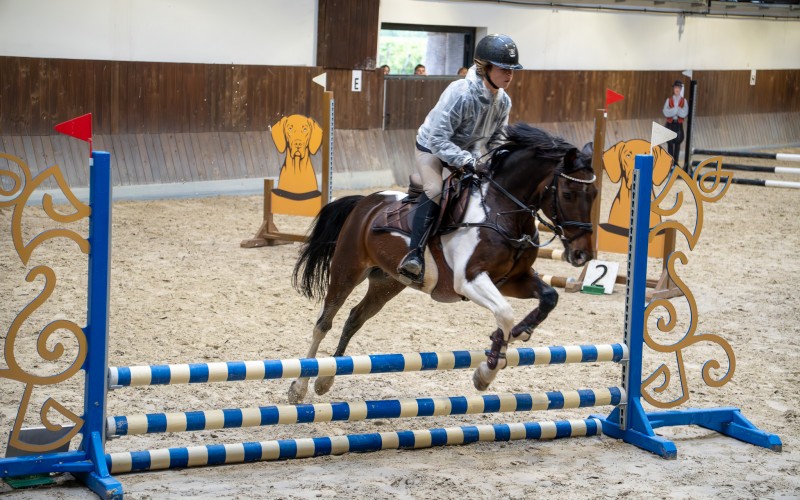 DSC00027-Enhanced-NR