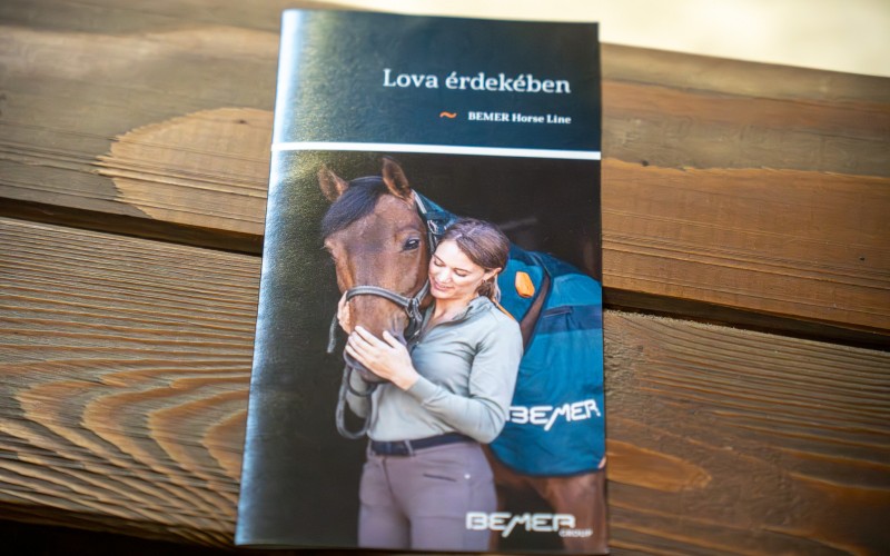 DSC00036-Enhanced-NR