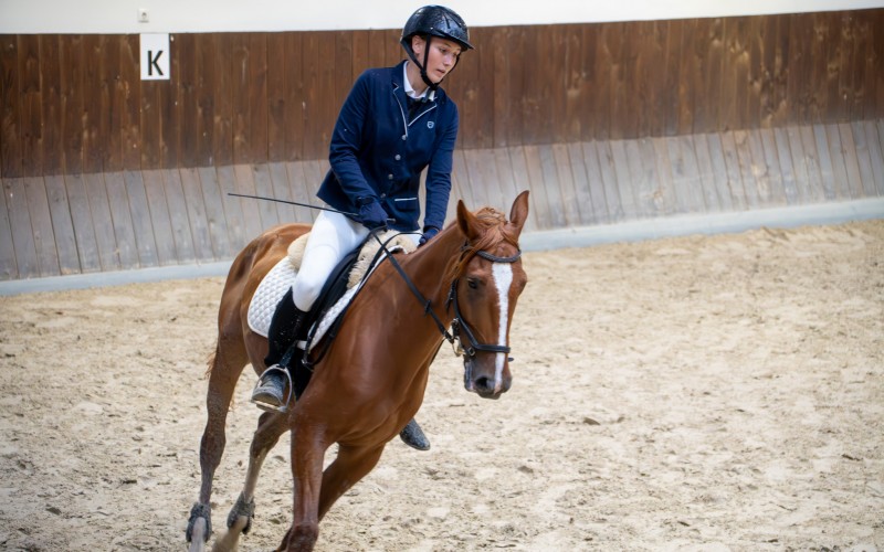 DSC00045-Enhanced-NR