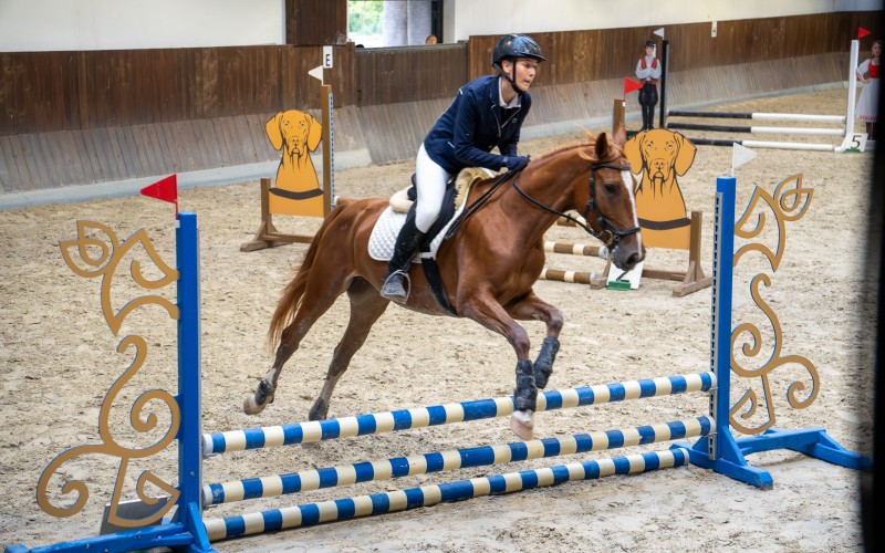 DSC00048-Enhanced-NR