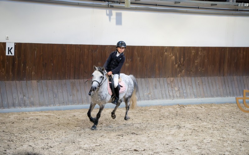 DSC00062-Enhanced-NR