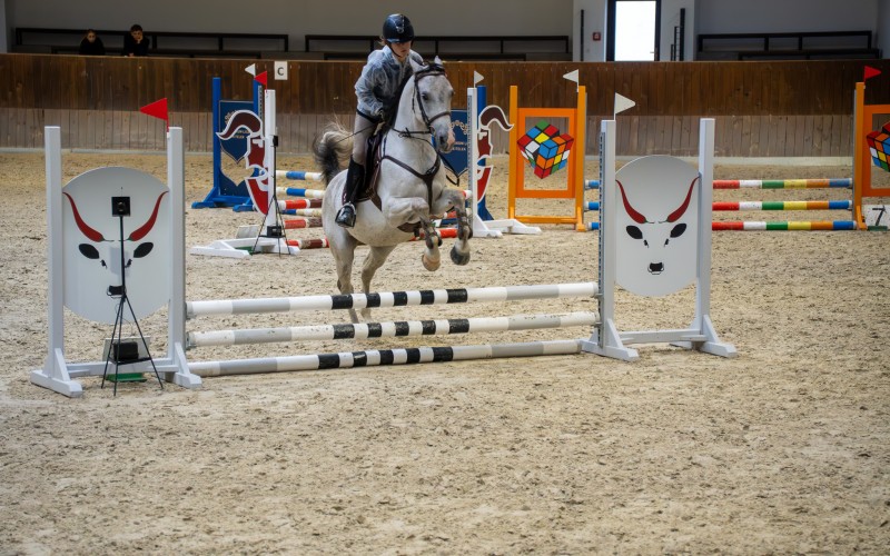 DSC00099-Enhanced-NR