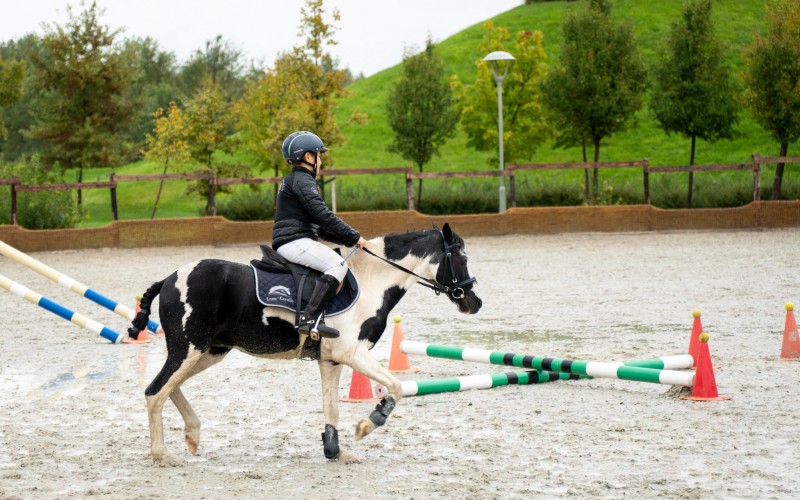 DSC09953-Enhanced-NR