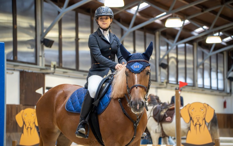 DSC09975-Enhanced-NR