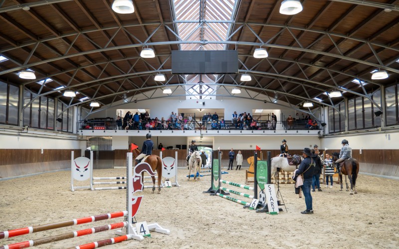 DSC09986-Enhanced-NR