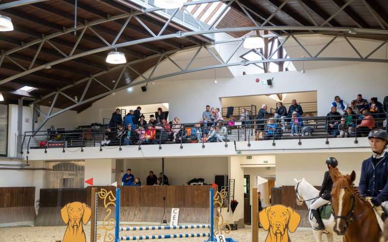 DSC09993-Enhanced-NR