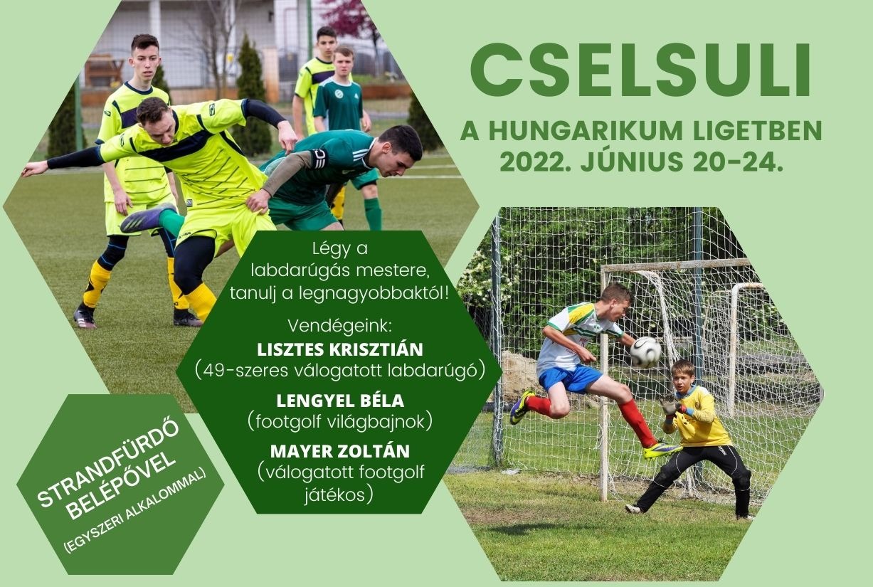 CSELSULI