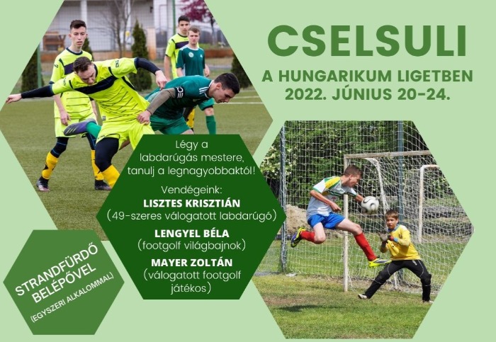 CSELSULI