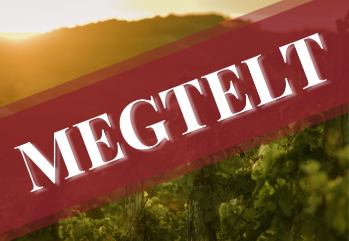 Borkóstoló Debreczeni Mónikával