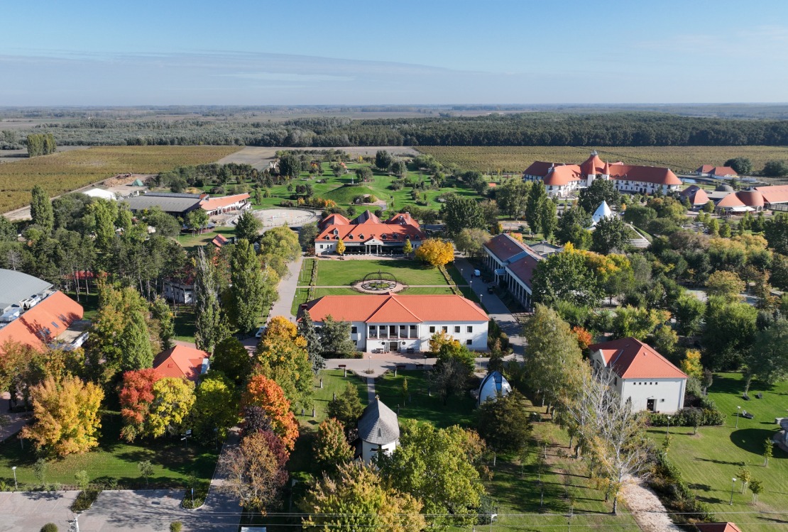 2025. novemberi körbevezetések a Hungarikum Ligetben