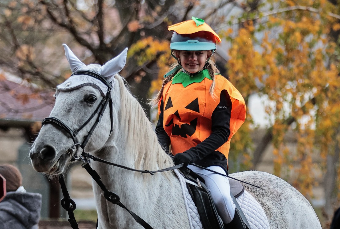 Halloween-i verseny a Hungarikum Liget Vaspatkó Lovardájában