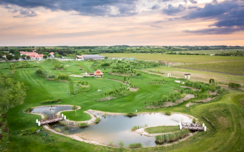 DJI_0894 (1)